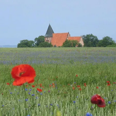 Gut-rattelvitz-parterre-c-hochwertig-sauna-kamin-etankstelle-spielscheune-15-000qm-parkland Lejlighed