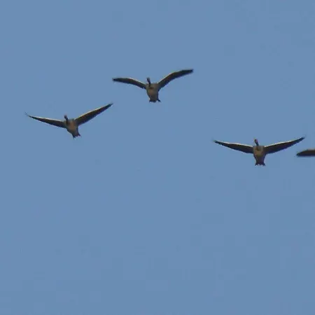 Gut-rattelvitz-parterre-c-hochwertig-sauna-kamin-etankstelle-spielscheune-15-000qm-parkland *