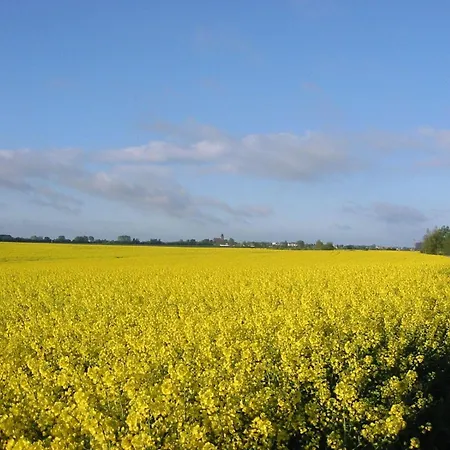 Lejlighed Gut-rattelvitz-parterre-c-hochwertig-sauna-kamin-etankstelle-spielscheune-15-000qm-parkland Gingst