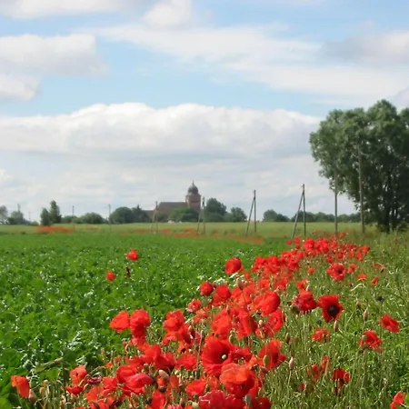 Gut-rattelvitz-parterre-c-hochwertig-sauna-kamin-etankstelle-spielscheune-15-000qm-parkland Lejlighed *