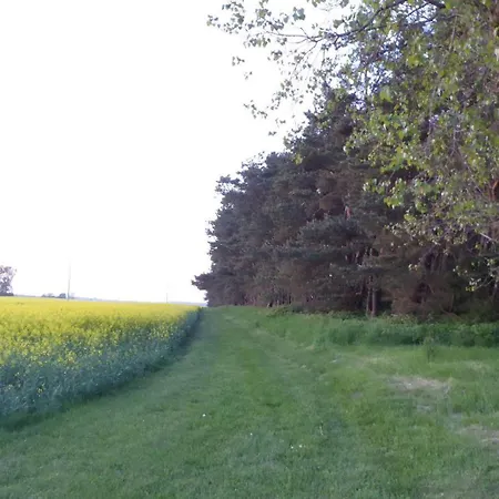 Lejlighed Gut-rattelvitz-parterre-c-hochwertig-sauna-kamin-etankstelle-spielscheune-15-000qm-parkland