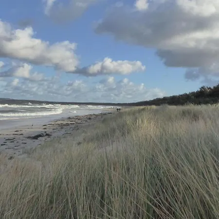 Lejlighed Gut-rattelvitz-parterre-c-hochwertig-sauna-kamin-etankstelle-spielscheune-15-000qm-parkland *