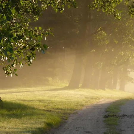 Gut-rattelvitz-parterre-c-hochwertig-sauna-kamin-etankstelle-spielscheune-15-000qm-parkland Lejlighed Gingst