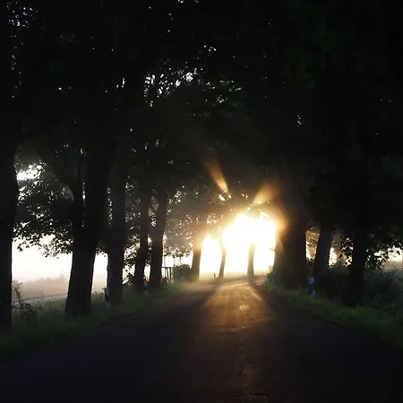 Lejlighed Gut-rattelvitz-parterre-c-hochwertig-sauna-kamin-etankstelle-spielscheune-15-000qm-parkland *