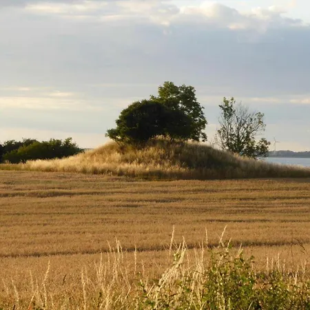 Lejlighed Gut-rattelvitz-parterre-c-hochwertig-sauna-kamin-etankstelle-spielscheune-15-000qm-parkland