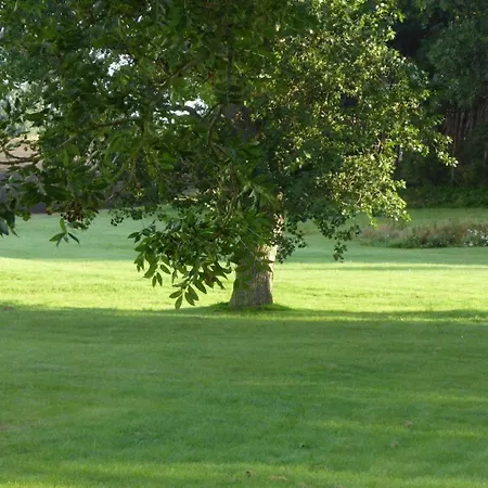 Lejlighed Gut-rattelvitz-parterre-c-hochwertig-sauna-kamin-etankstelle-spielscheune-15-000qm-parkland *