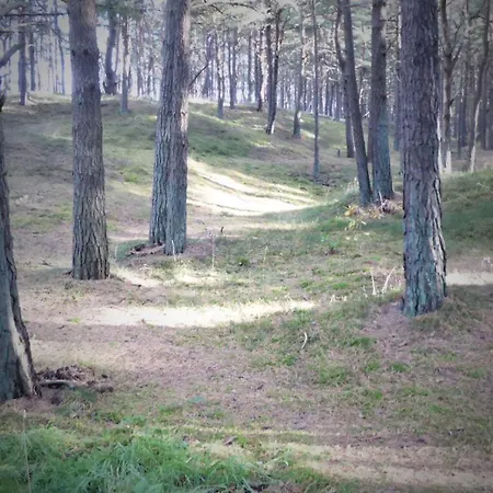 Lejlighed Gut-rattelvitz-parterre-c-hochwertig-sauna-kamin-etankstelle-spielscheune-15-000qm-parkland