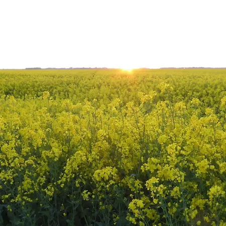 Gut-rattelvitz-parterre-c-hochwertig-sauna-kamin-etankstelle-spielscheune-15-000qm-parkland Gingst