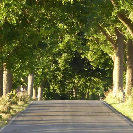 Gut-rattelvitz-parterre-c-hochwertig-sauna-kamin-etankstelle-spielscheune-15-000qm-parkland