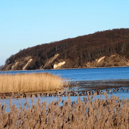 Lejlighed Gut-rattelvitz-parterre-c-hochwertig-sauna-kamin-etankstelle-spielscheune-15-000qm-parkland