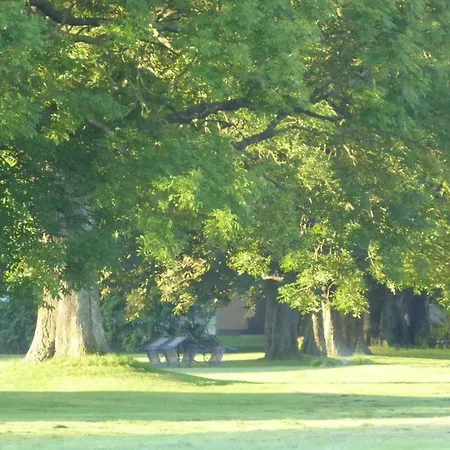 Gut-rattelvitz-parterre-c-hochwertig-sauna-kamin-etankstelle-spielscheune-15-000qm-parkland Gingst