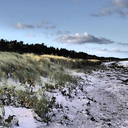 Gut-rattelvitz-parterre-c-hochwertig-sauna-kamin-etankstelle-spielscheune-15-000qm-parkland Lejlighed