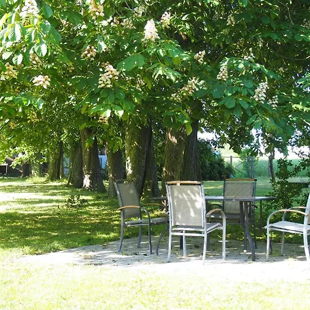 Gut-rattelvitz-parterre-c-hochwertig-sauna-kamin-etankstelle-spielscheune-15-000qm-parkland Lejlighed