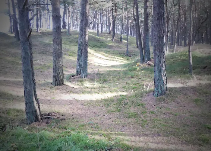 Lägenhet Gut-rattelvitz-parterre-c-hochwertig-sauna-kamin-etankstelle-spielscheune-15-000qm-parkland