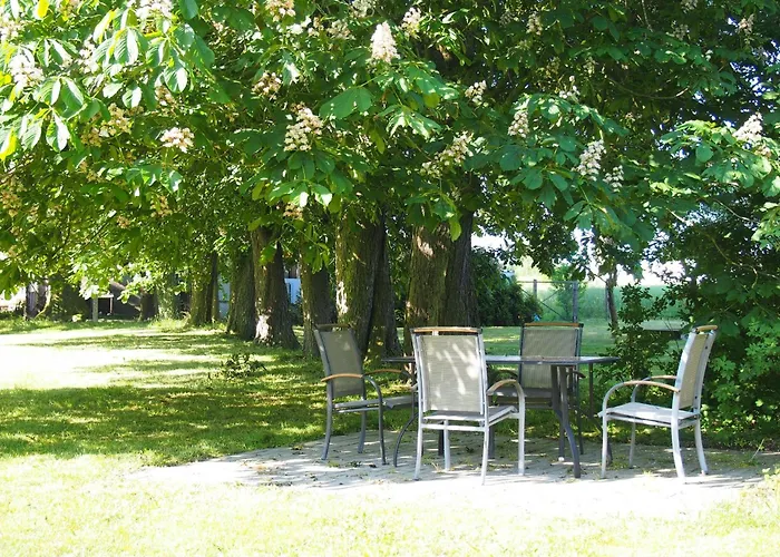 Gut-rattelvitz-parterre-c-hochwertig-sauna-kamin-etankstelle-spielscheune-15-000qm-parkland Lägenhet